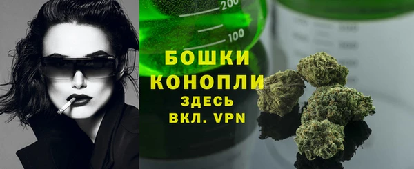 дурь Алзамай