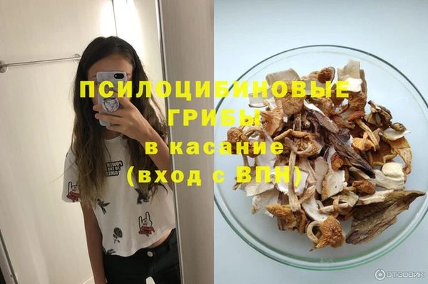 ALPHA-PVP Алексин