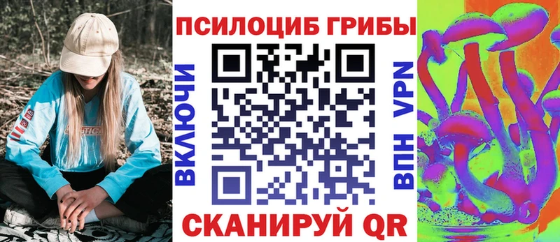 Псилоцибиновые грибы Psilocybine cubensis  продажа наркотиков  Нефтекумск 